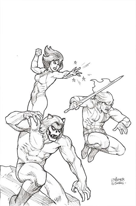 THUNDARR THE BARBARIAN #5 CVR M INC 1:10 JOSEPH MICHAEL LINSNER LINE ART VIRGIN VAR