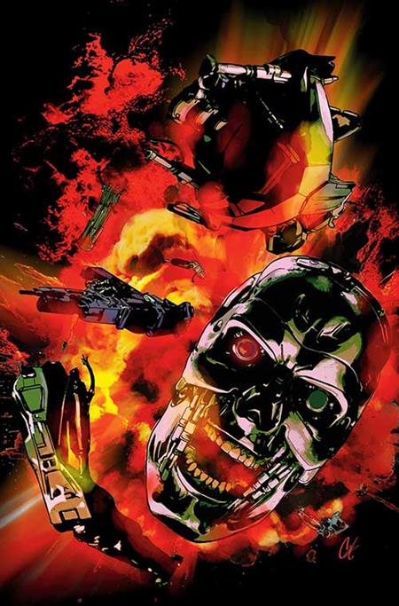 TERMINATOR #10 CVR G 10 COPY INCV STAGGS VIRGIN