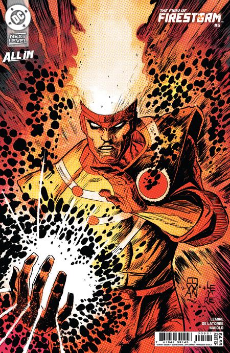 FURY OF FIRESTORM #5 (OF 8) CVR B DENYS COWAN & JEFF LEMIRE CARD STOCK VAR