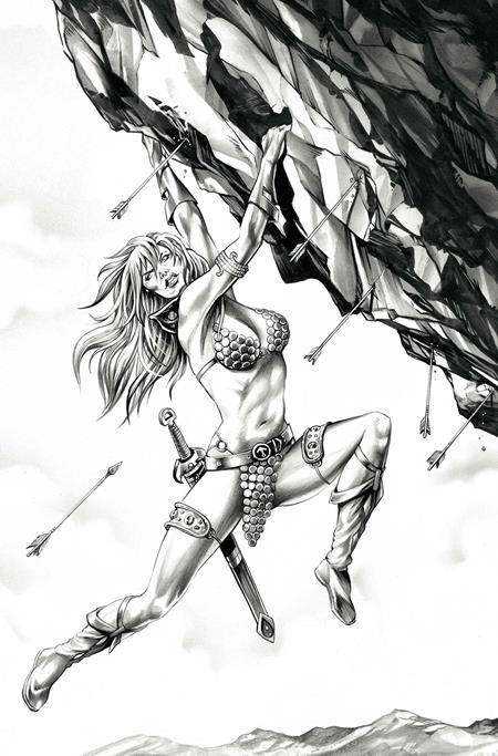 RED SONJA SHE DEVIL WITH A SWORD #4 CVR N INC 1:7 MIKE ROOTH B&W VIRGIN VAR