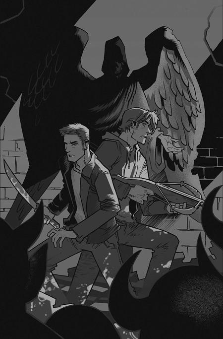 SUPERNATURAL #10 CVR K INC 1:5 JOHN AMOR LINE ART VIRGIN VAR