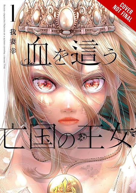 BEGINNING AFTER THE END TP VOL 11