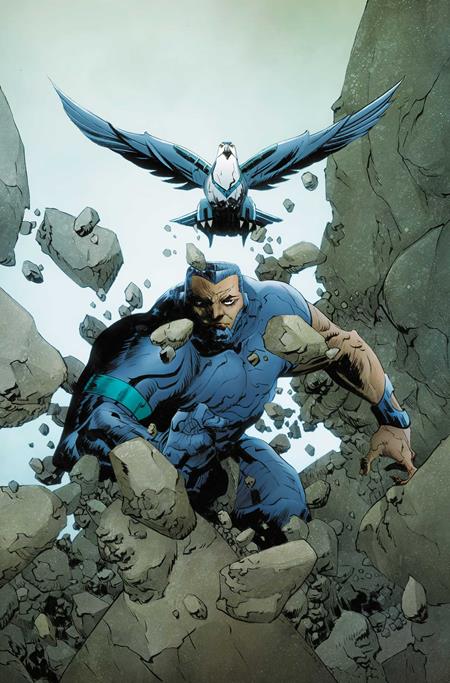 SILVERHAWKS #8 CVR O 25 COPY INCV LEE & CHUNG VIRGIN