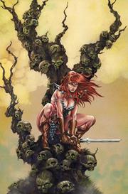 RED SONJA SHE DEVIL WITH A SWORD #5 CVR I INC 1:10 MIKE ROOTH VIRGIN VAR