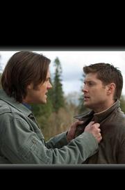 SUPERNATURAL WAYWARD SPECIAL #1 (ONE SHOT) CVR G PHOTO 2 LTD VIRGIN VAR
