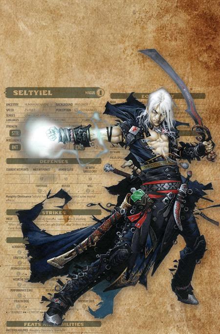 PATHFINDER VAMPIRELLA BLADE OF DARKNESS #3 CVR G INC 1:15 WAYNE REYNOLDS CHARACTER SHEET VIRGIN VAR