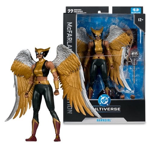 DC McFarlane Collector Edition Wave 15 Hawkgirl Kendra Saunders #63 7-Inch Scale Action Figure