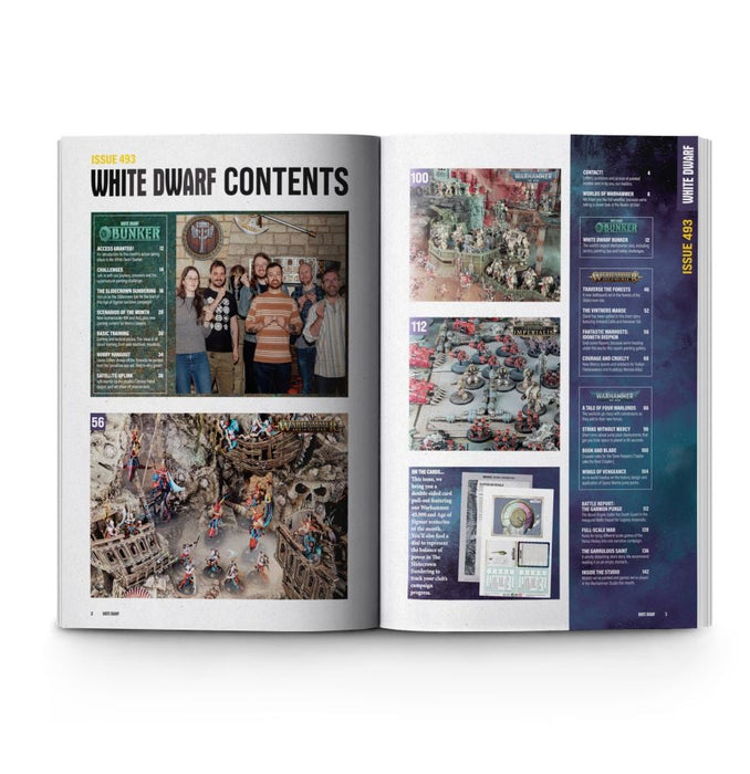White Dwarf #493