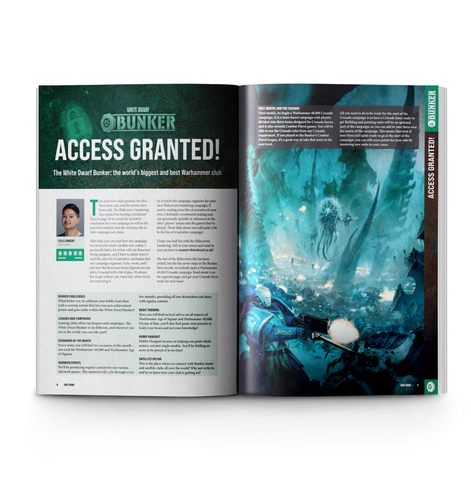 White Dwarf #496