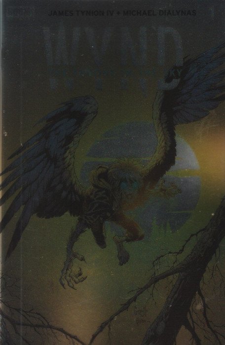 WYND THE THRONE IN THE SKY #1 (OF 5) CVR D FOIL CAPULLO