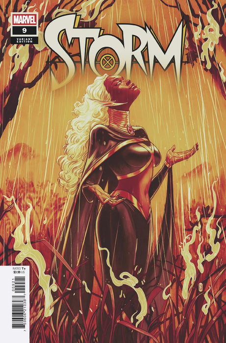 STORM (2024) #9 NIMIT MALAVIA VARIANT