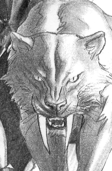 BLACK CAT (2025) #2 1:100 ALEX ROSS TIMELESS VIRGIN SKETCH VARIANT
