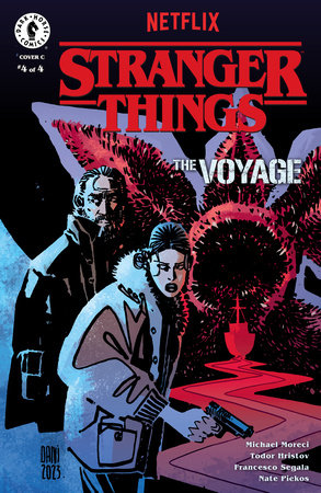 Stranger Things: The Voyage #4 (CVR C) (DaNi)