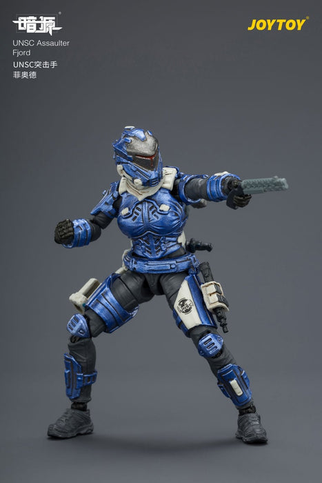 Dark Source UNSC Assaulter Fjord 1/25 Scale Action Figure