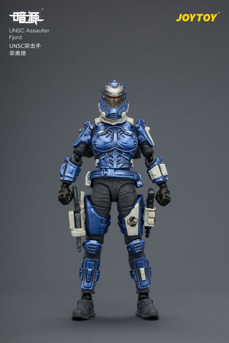 Dark Source UNSC Assaulter Fjord 1/25 Scale Action Figure