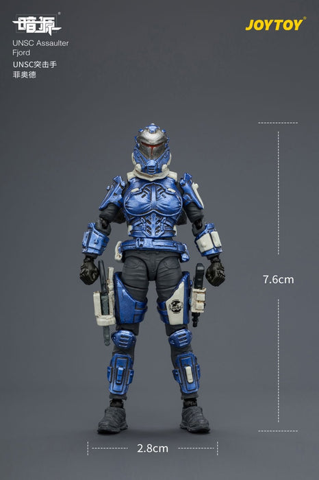 Dark Source UNSC Assaulter Fjord 1/25 Scale Action Figure