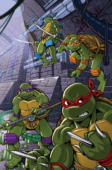 Teenage Mutant Ninja Turtles: Saturday Morning Adventures #8 Variant RI (1:25) (Escorzas Full Art)