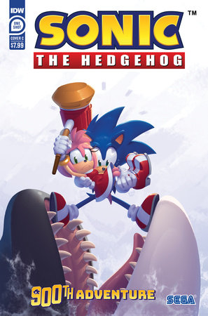 Sonic the Hedgehogs 900th Adventure Variant C (Stanley)