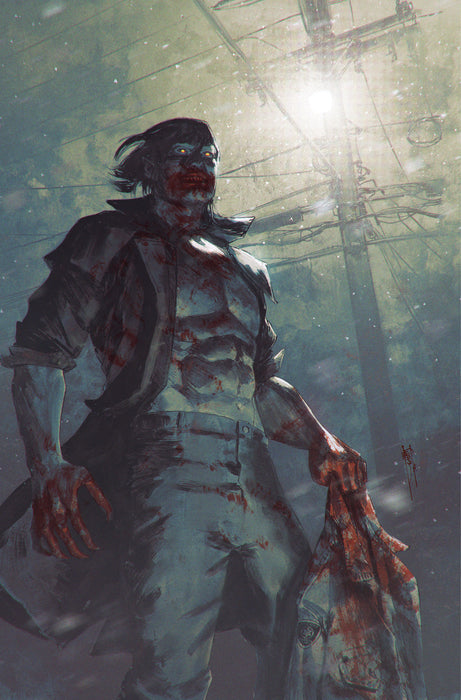 30 Days of Night: Falling Sun #2 Variant RI (15) (Shehan Full Art)