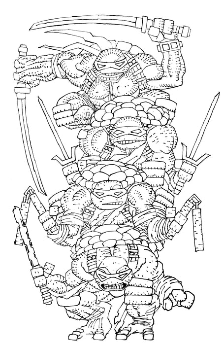 Teenage Mutant Ninja Turtles #20: 300th Issue Special Variant RI (300) (Miller Full Art B&W)