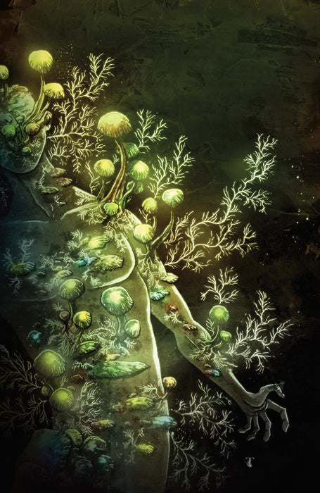 In Bloom #4 Cover C 1:10 INCV (Full Art, Templesmith)