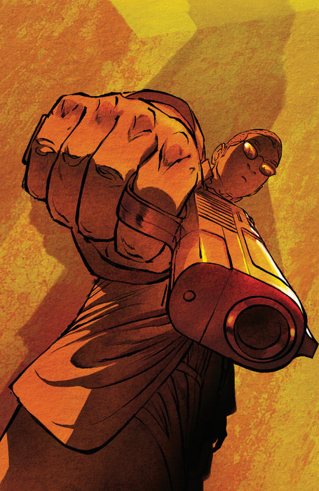 The Killer: Affairs of the State II #2 Cover D One Per Store Variant (Full Art, Jacamon)