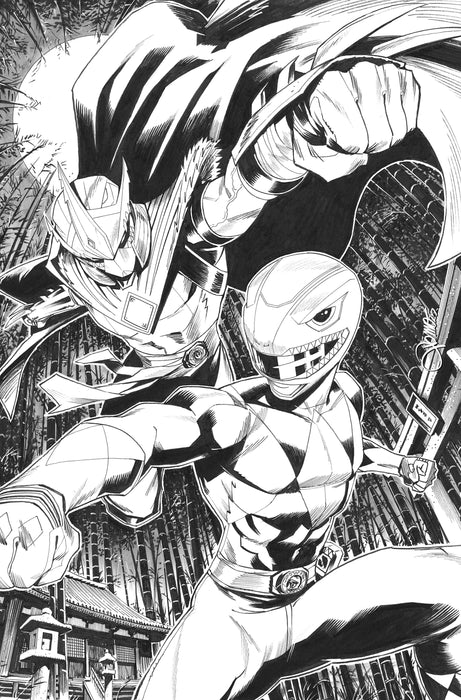 Mighty Morphin Power Rangers/Teenage Mutant Ninja Turtles III #2 Cover E 1:10 INCV (Full Art, Zonno)