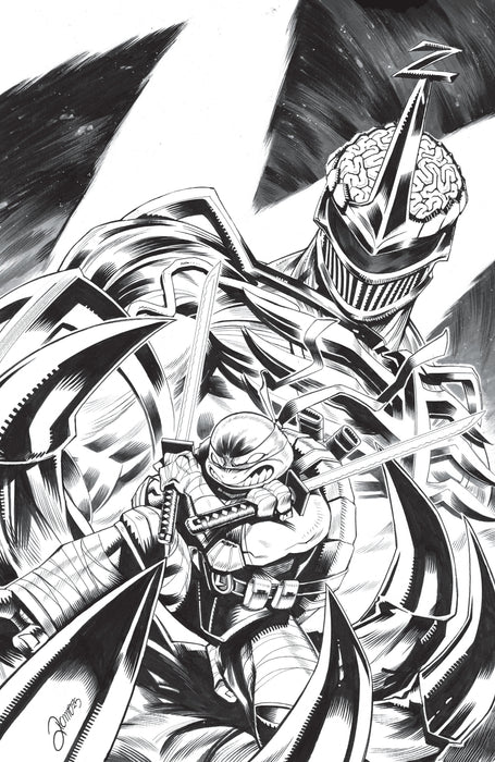 Mighty Morphin Power Rangers/Teenage Mutant Ninja Turtles III #3 Cover E 1:10 INCV (Full Art, Zonno)