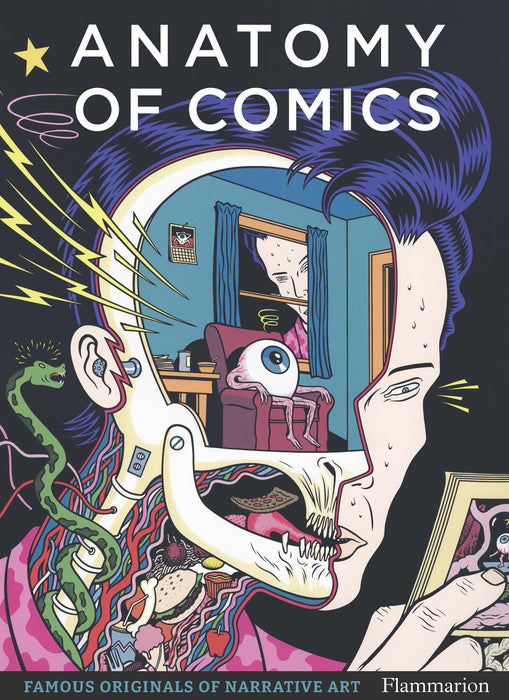 Anatomy of Comics SC
