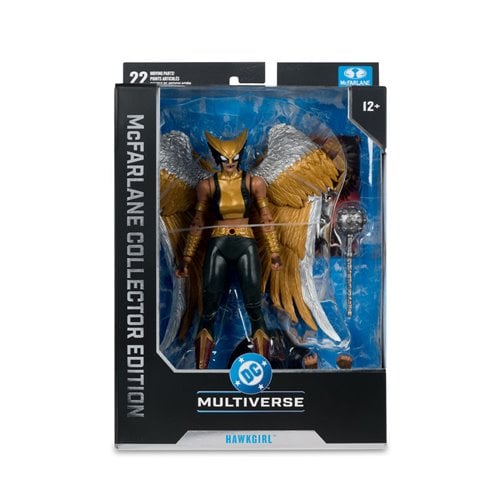 DC McFarlane Collector Edition Wave 15 Hawkgirl Kendra Saunders #63 7-Inch Scale Action Figure