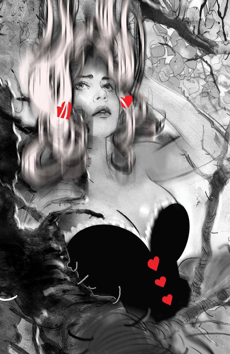 ALICE NEVER AFTER #4 (OF 5) CVR D 25 COPY INCV