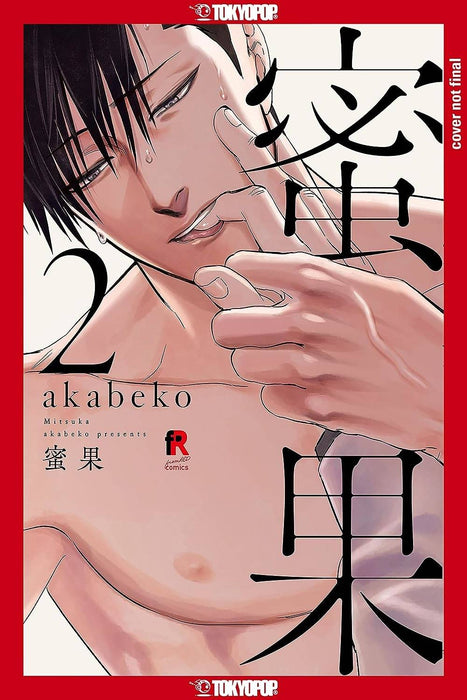 MITSUKA VOL 02 (A)