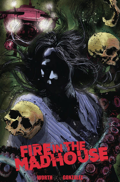 FIRE IN THE MADHOUSE #2 (OF 4) CVR A HERNAN GONZALEZ