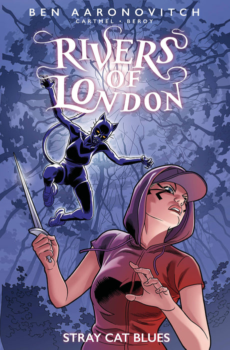 RIVERS OF LONDON STRAY CAT BLUES #1 (OF 4) CVR B BEROY