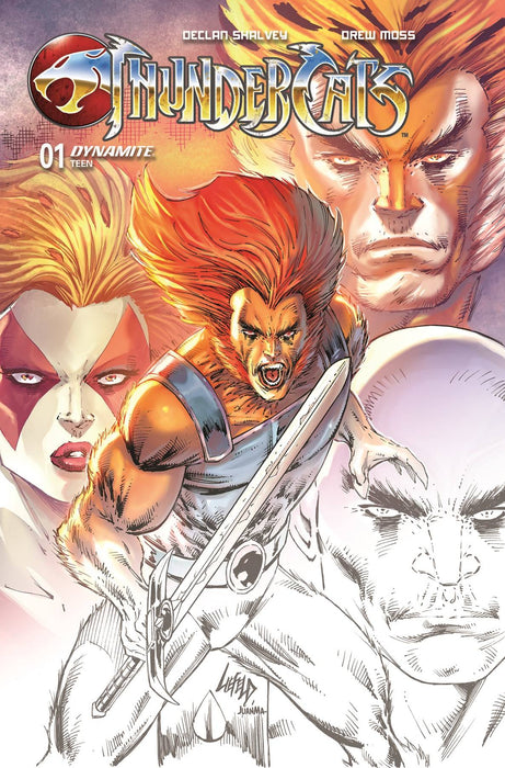 THUNDERCATS #1 2ND PRINTING CVR A LIEFELD