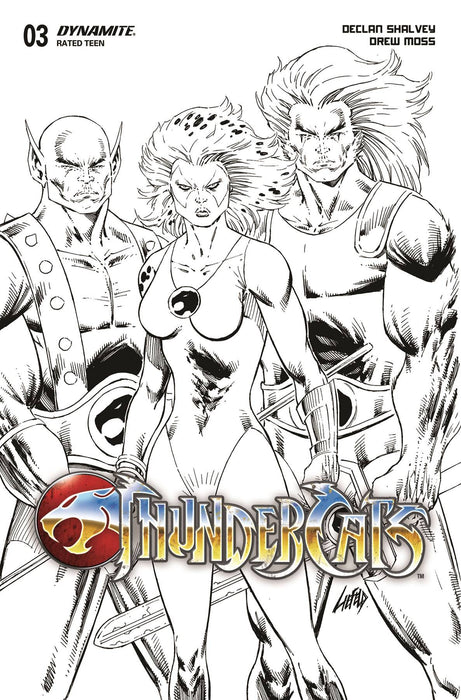 THUNDERCATS #3 CVR Y 10 COPY INCV LIEFELD B&W