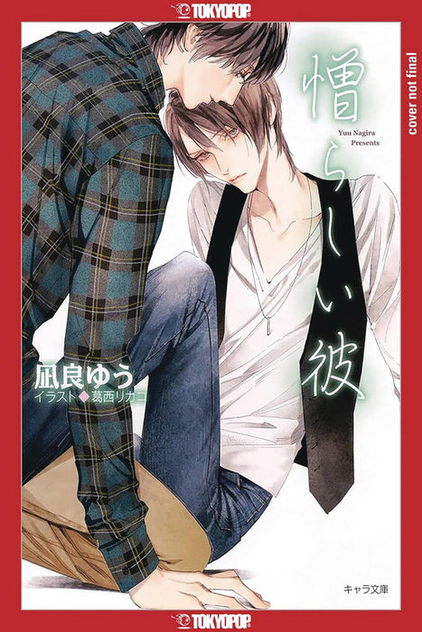 MY BEAUTIFUL MAN LIGHT NOVEL SC VOL 02