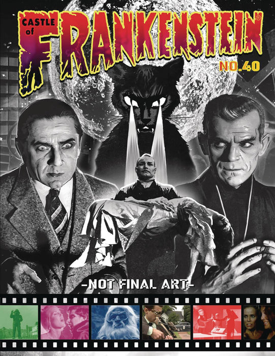 CASTLE OF FRANKENSTEIN #40