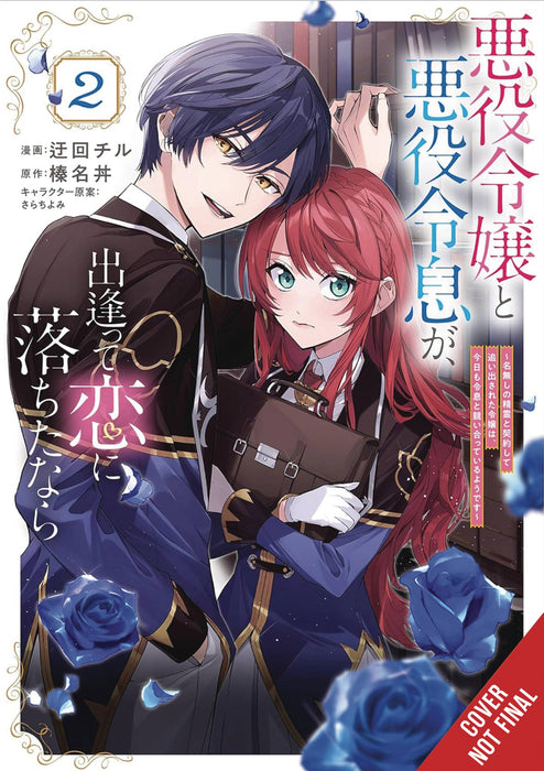 IF VILLAINESS & VILLAIN MET & FELL IN LOVE TP VOL 02
