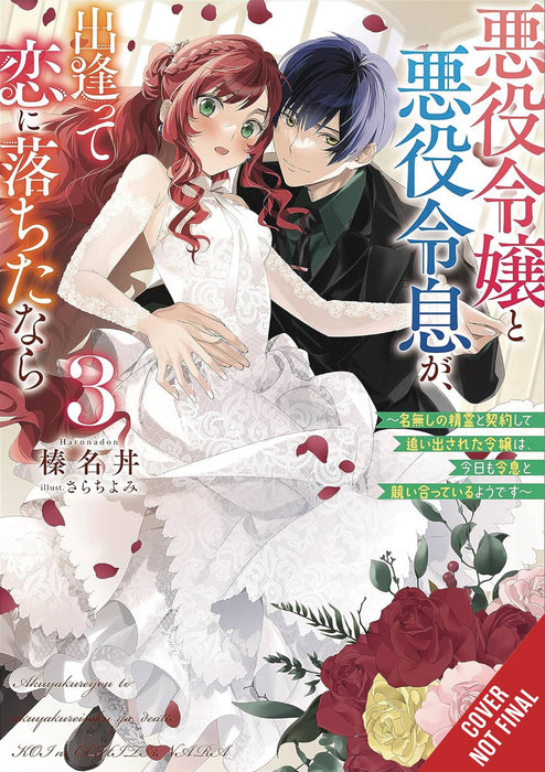 IF VILLAINESS & VILLAIN MET & FELL IN LOVE NOVEL SC VOL 03