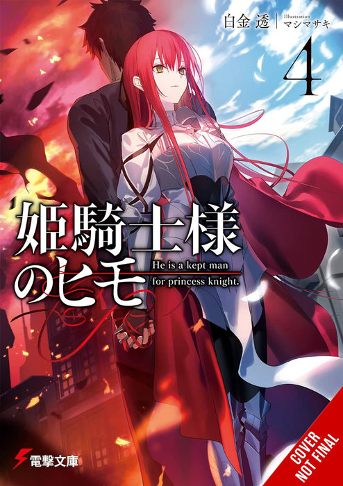 KEPT MAN OF PRINCESS KNIGHT LIGHT NOVEL SC VOL 04