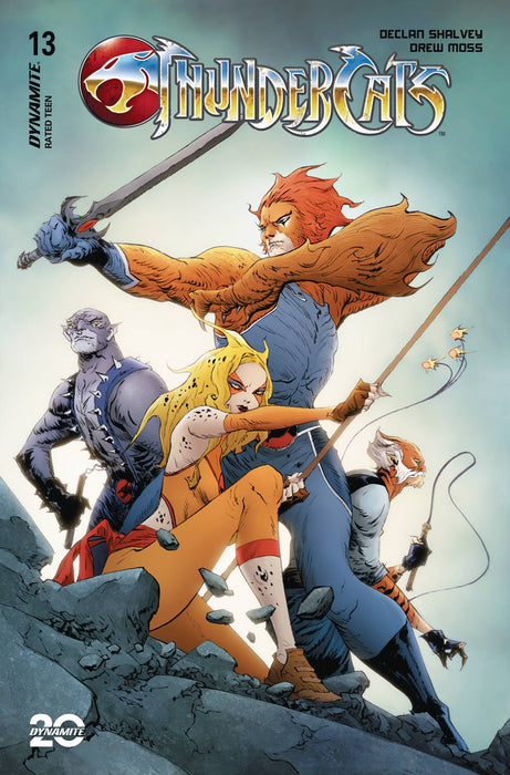 THUNDERCATS #13 CVR N 10 COPY INCV LEE & CHUNG FOIL