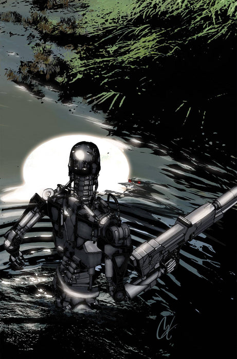 TERMINATOR #6 CVR J 10 COPY INCV STAGGS VIRGIN