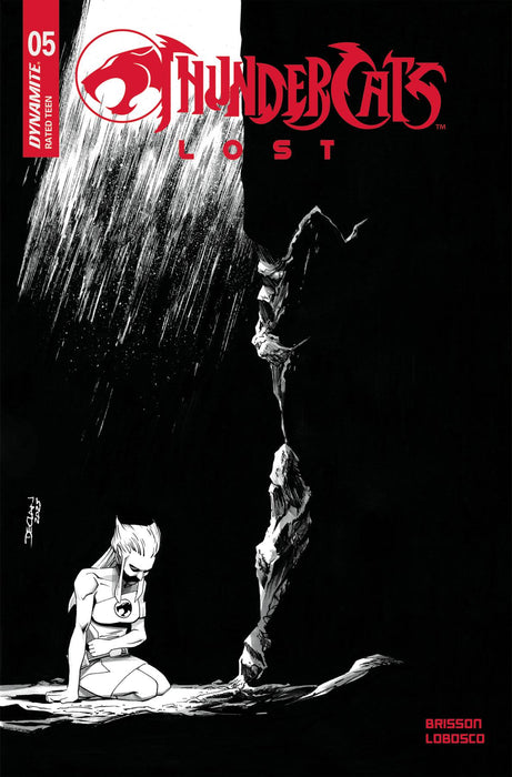 THUNDERCATS LOST #5 CVR H INC 1:10 DECLAN SHALVEY LINE ART VAR