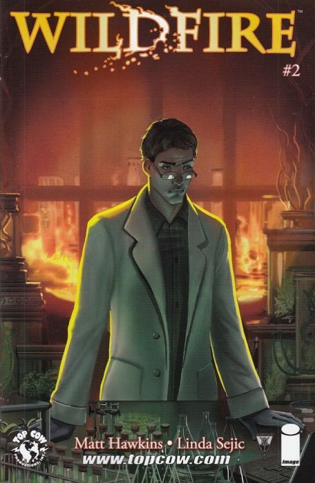 Wildfire (2014) #2 (Cover A Linda Sejic)