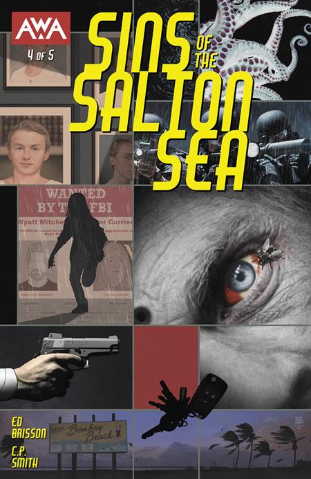 SINS OF THE SALTON SEA #4 (OF 5) CVR A TIM BRADSTREET