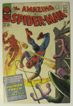 Amazing Spider-Man (1963) #21