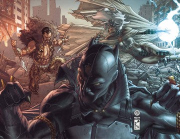 Black Panther: Man Without Fear (2010) #520