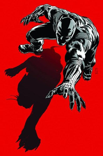 Black Panther: Most Dangerous Man Alive (2011) #523.1