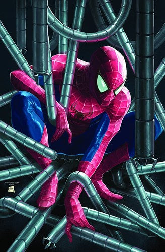 Amazing Spider-Man (2014) #1 (2nd Print Choo Variant)